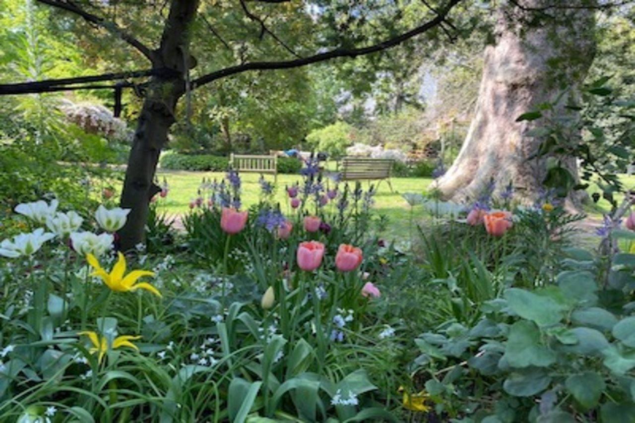 Eccleston Square Hotel London Ngoại thất bức ảnh